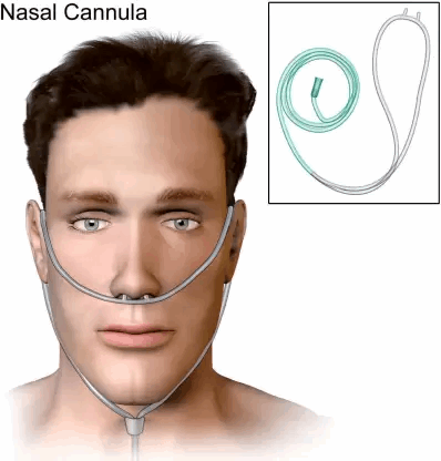 Urban Mediquip Twin Bore Nasal Oxygen (2 Meter)